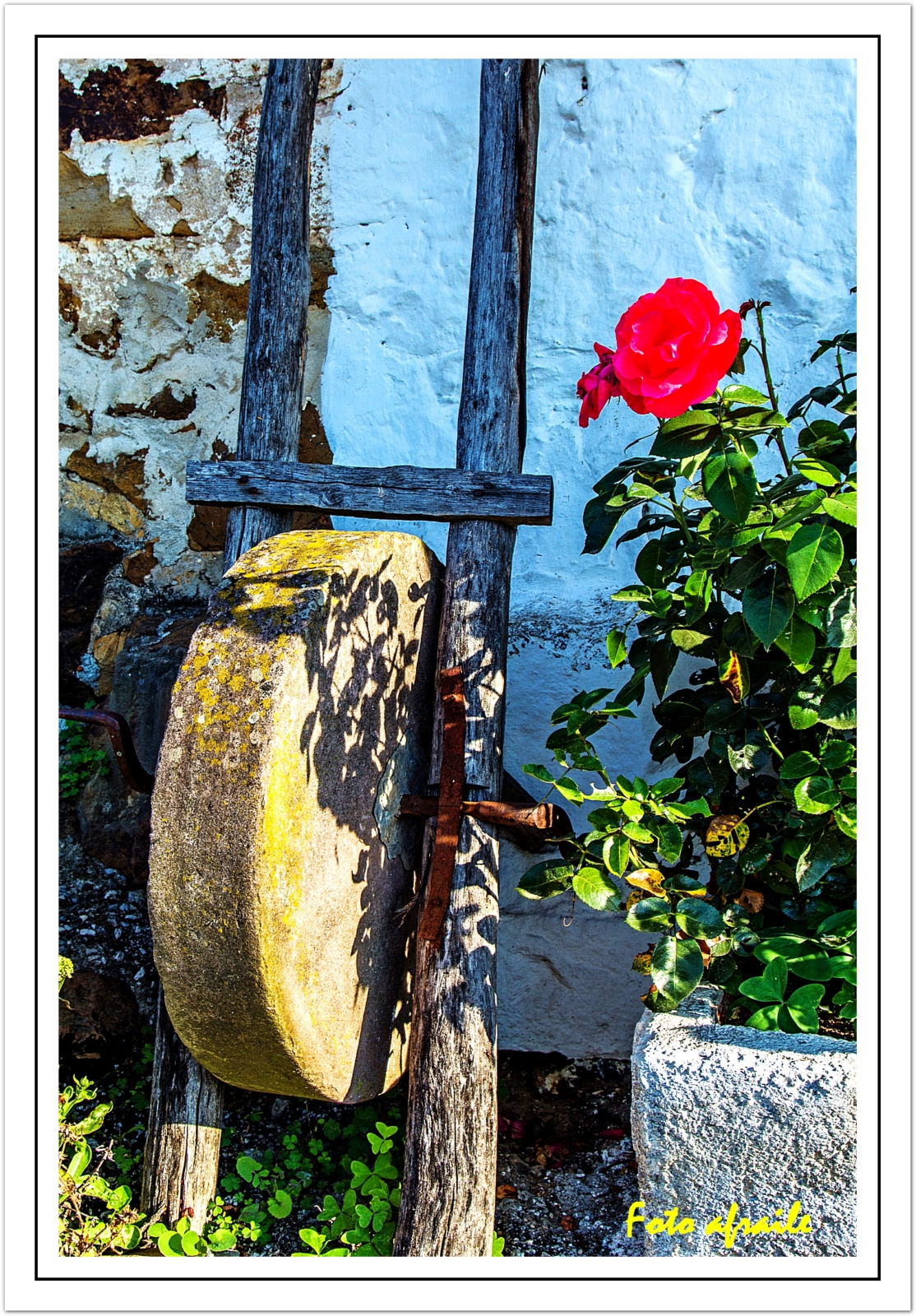 Foto afraile SEL DEL TOJO (Corvera de Toranzo).