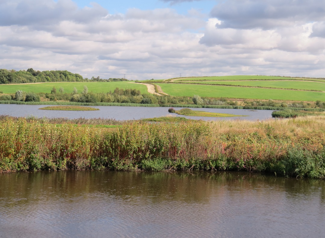 Dannysbirds Swillington Ings