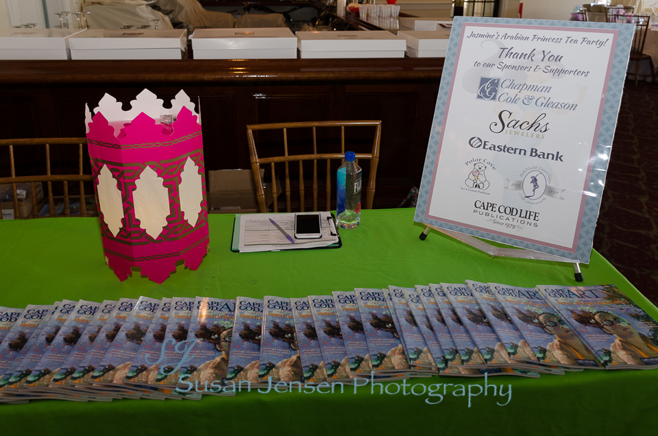 Jasmine's Arabian Princess Tea Party [Cape Cod Event Photographer]