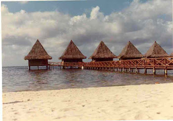 Tahiti-Bungalows Over the Water