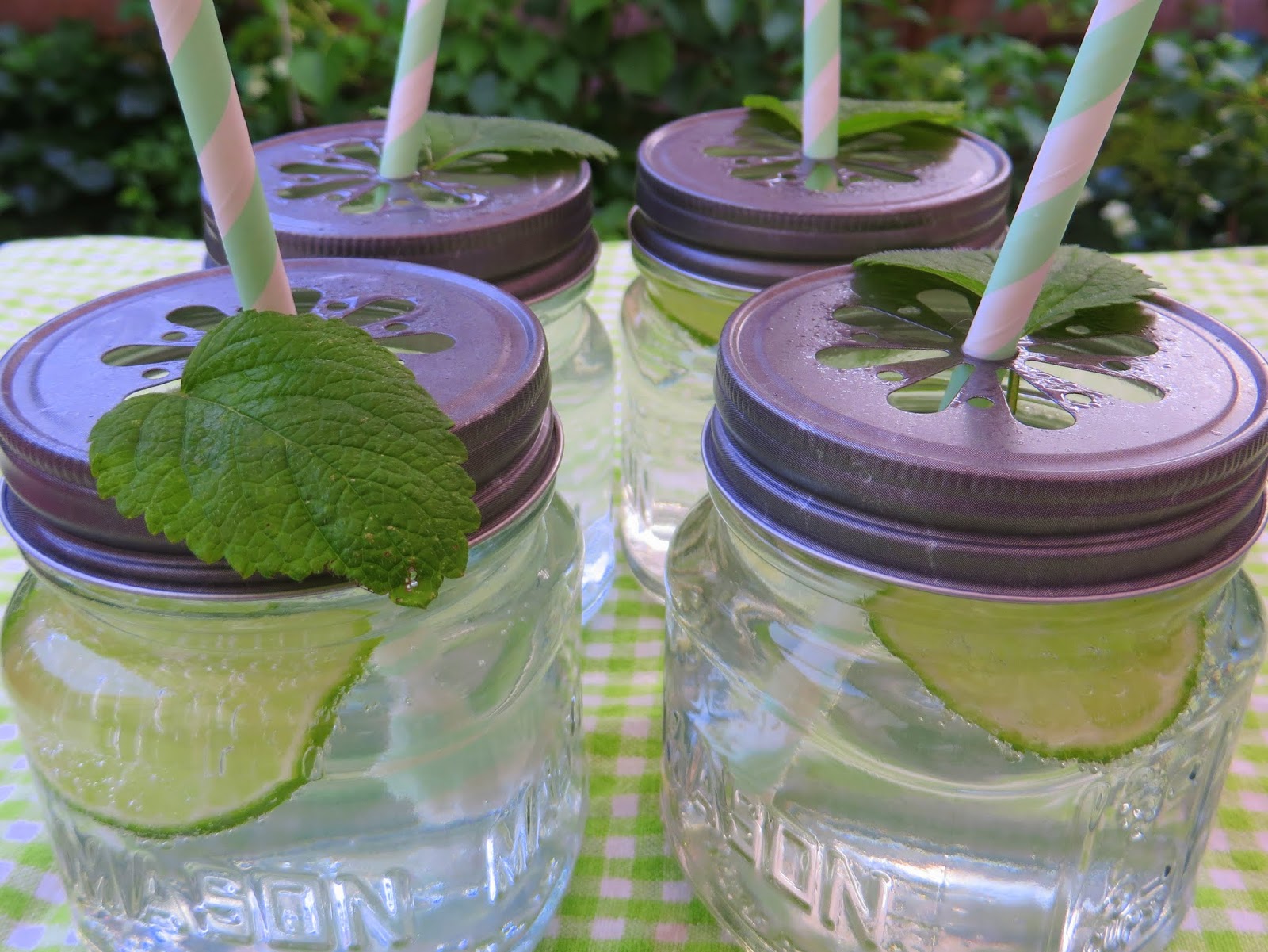 Bodenseewellen: Zitronenmelissen-Sommerlimonade