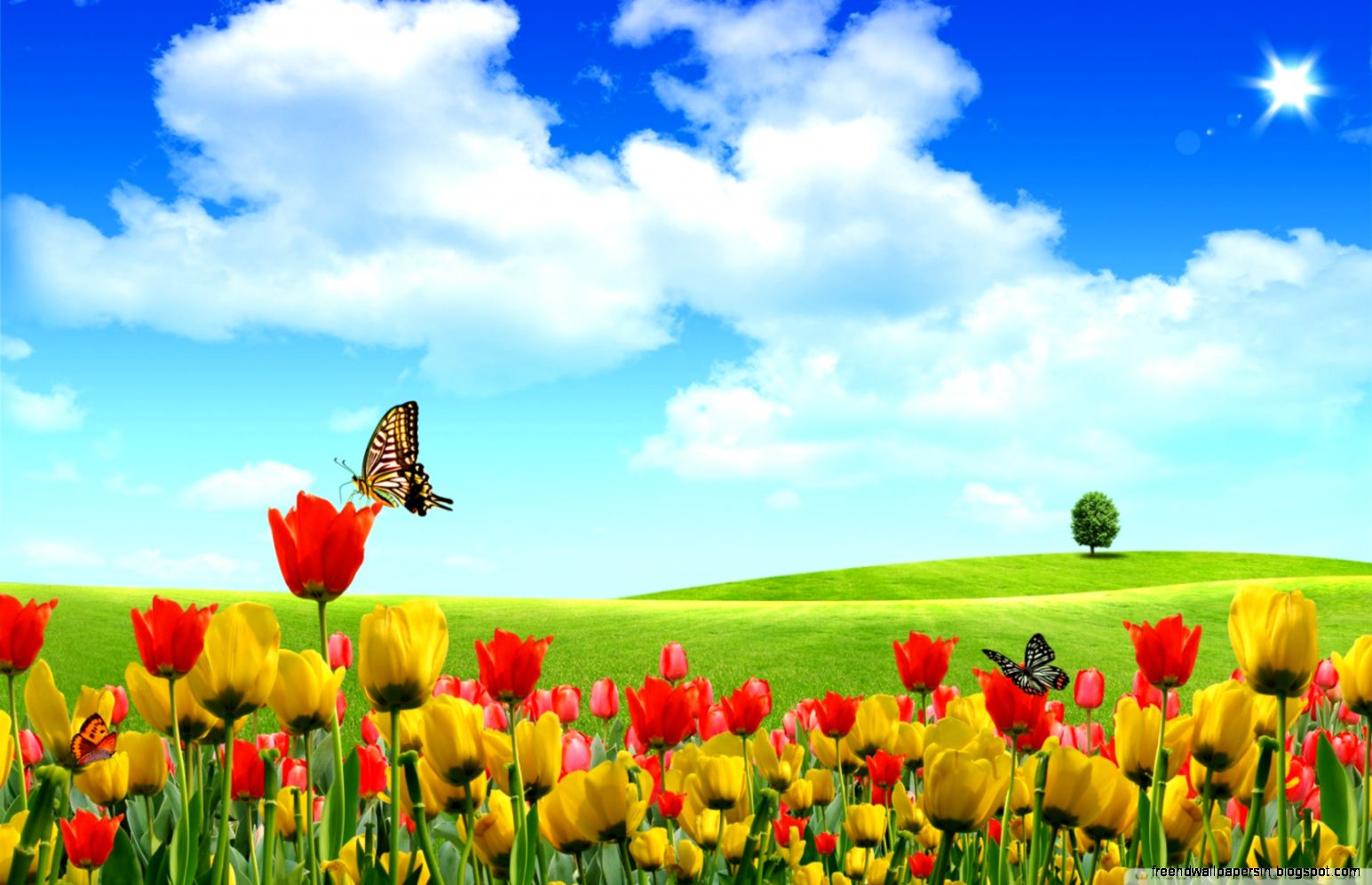 Dreamscape Spring HD desktop wallpaper  High Definition