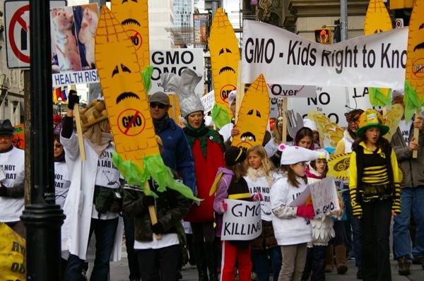 Rachel Parent - GMO - Kids Right to Know - 14-year-old teen GMO activist schools ignorant TV host on human rights, food labeling