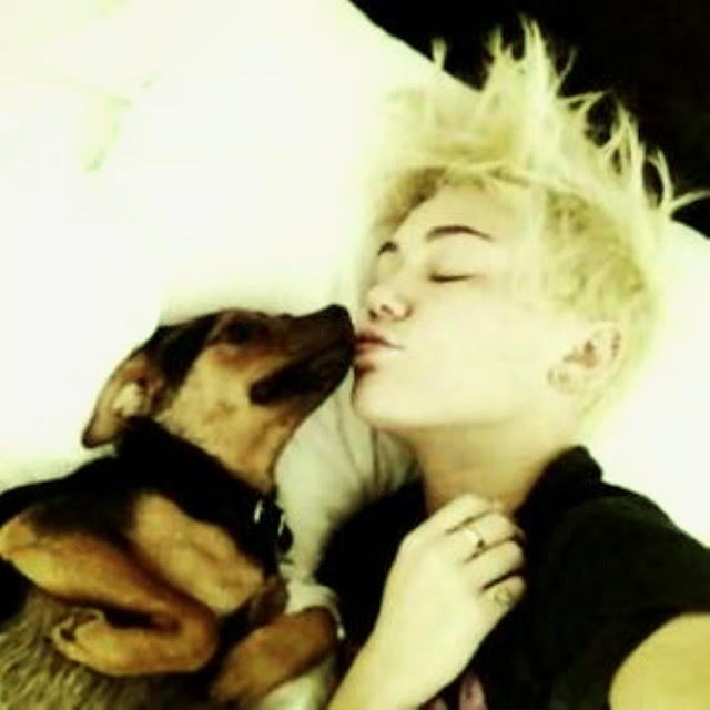 Miley cyrus dog dies 2014