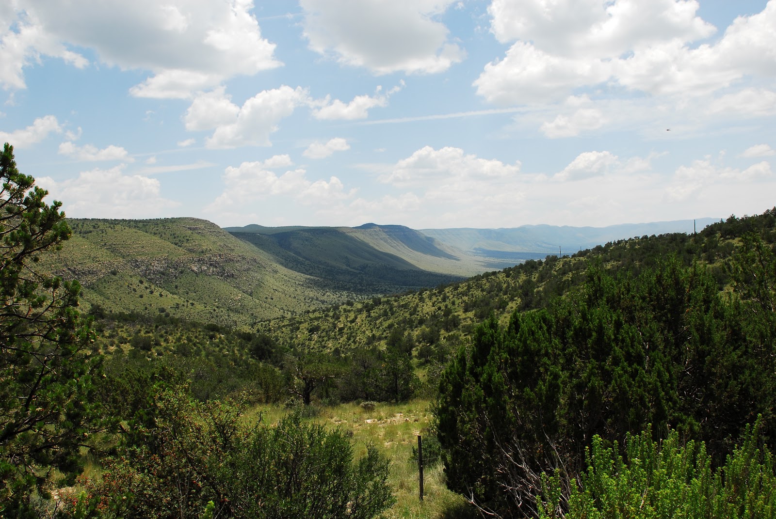 Texas Mountain Trail Daily Photo: Dog Canyon area of Guadalupe ...