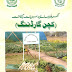 How to Grow Vegetables & Fruits, Kitchen Gardening - Urdu Guide 