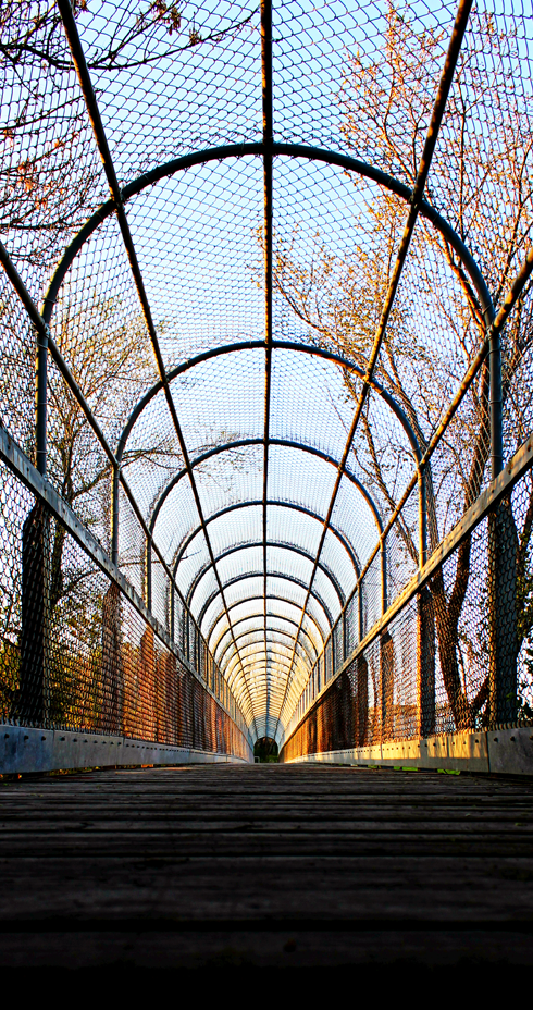 kin coulee bridge medicine hat