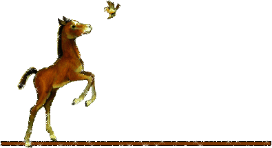 0_34a60_cd788f38_L.jpg?profile=RESIZE_710x