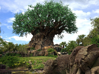 animal kingdom tree of life 