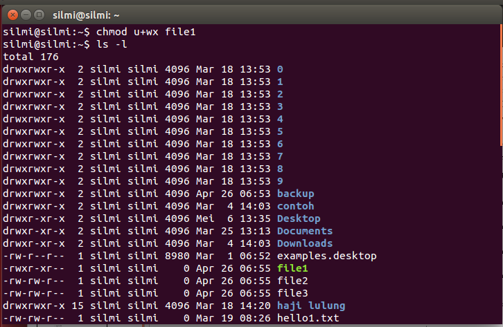 Chmod 755 linux. Chmod в числах. Chmod 777 linux команда. Chmod пример. Sudo chmod.