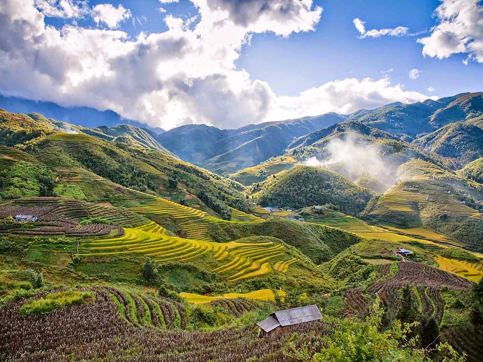 5-five-5: Sapa terraces (Sapa - Vietnam)