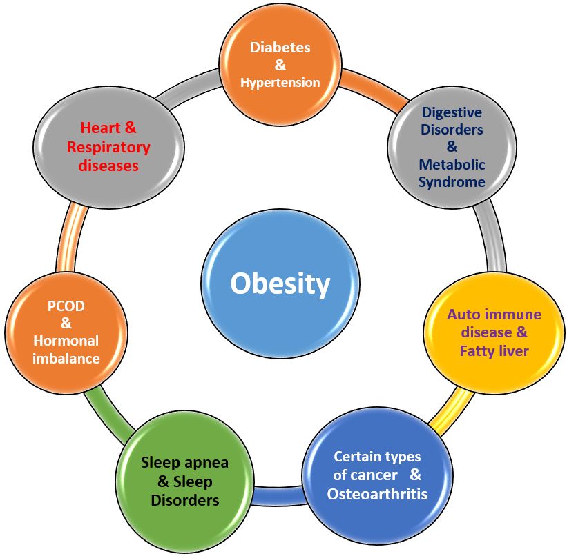 Fat Protein Carb's Obesity