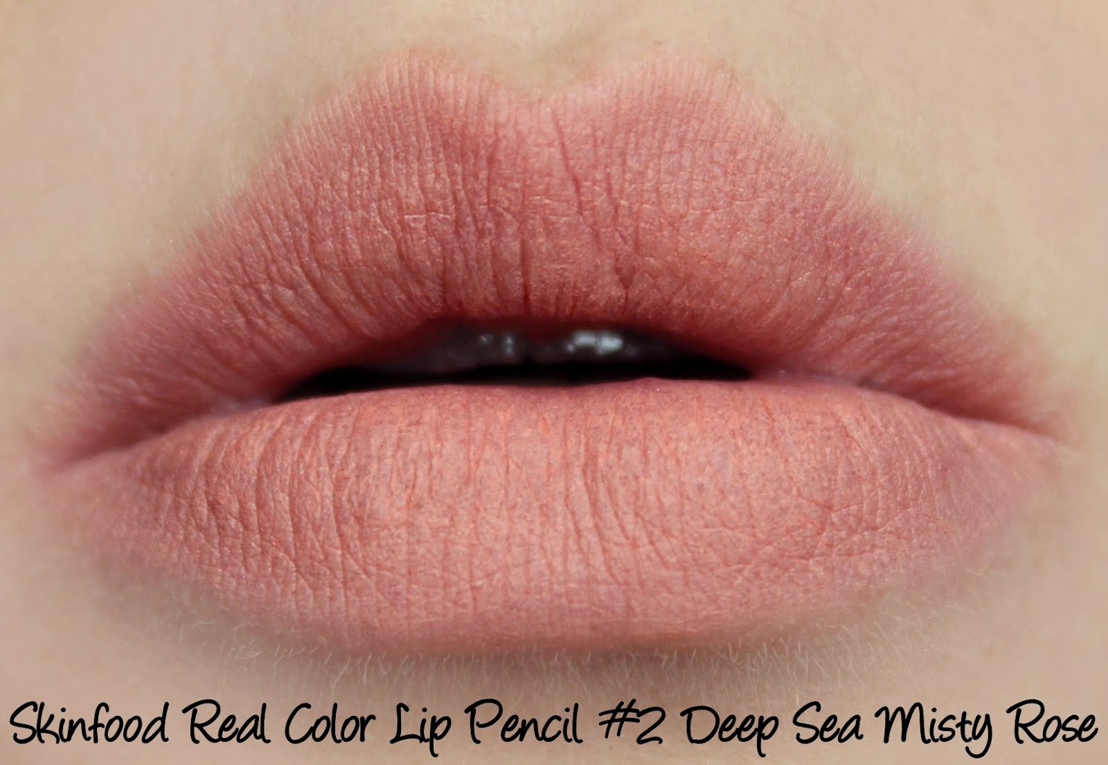 Skinfood Seaweed Real Color Lip Pencils - #2 Deep Sea Misty Rose Swatches & Review