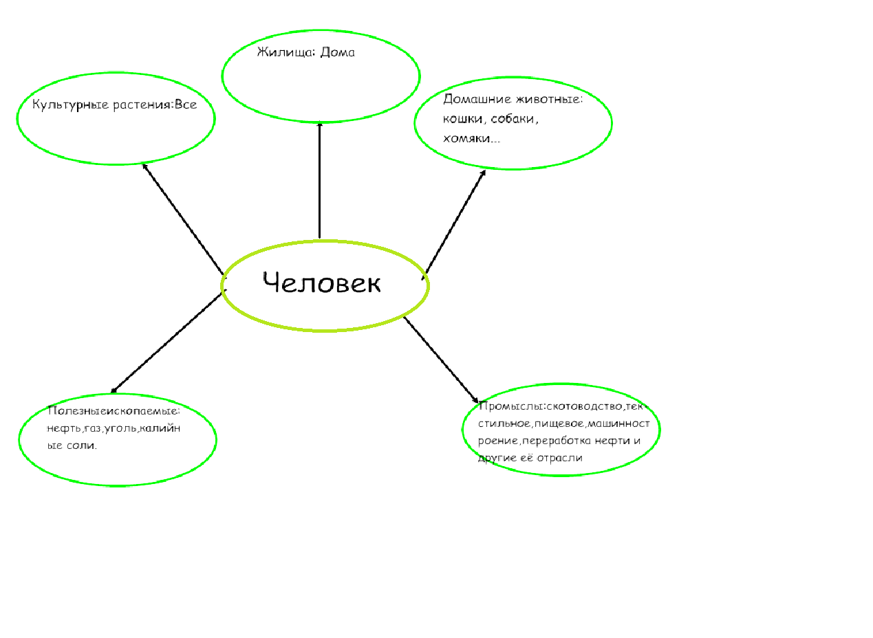 Кластер золотое правило этики. Человек личность кластер. Кластер тело человека. Кластер личность. Кластер на тему человек.