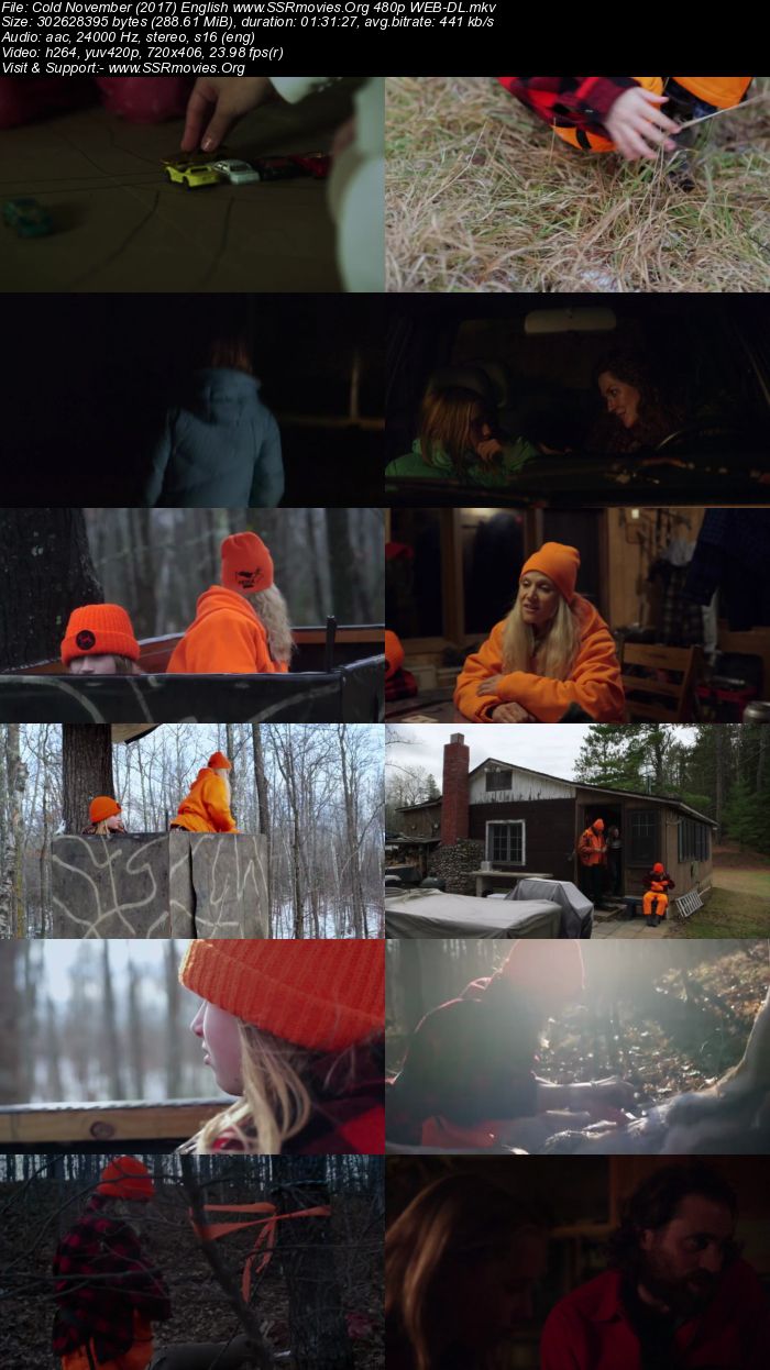 Cold November (2017) English 480p WEB-DL