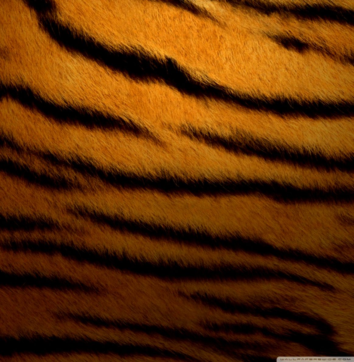 Berita dan Jadwal Bola Tiap Detik