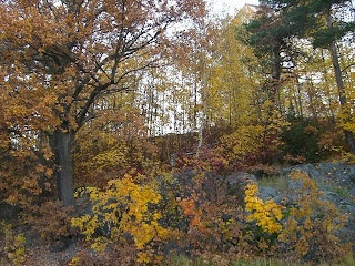 CIMG2690 - Vackra höstfärger