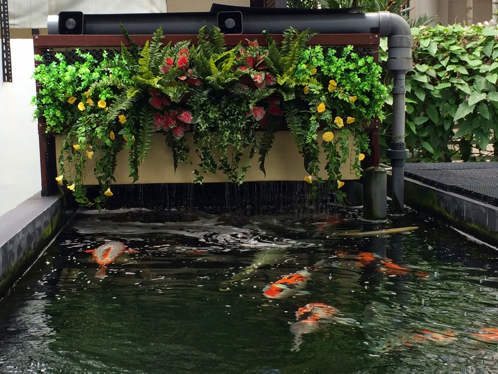 retaining-wall-block-koi-pond1