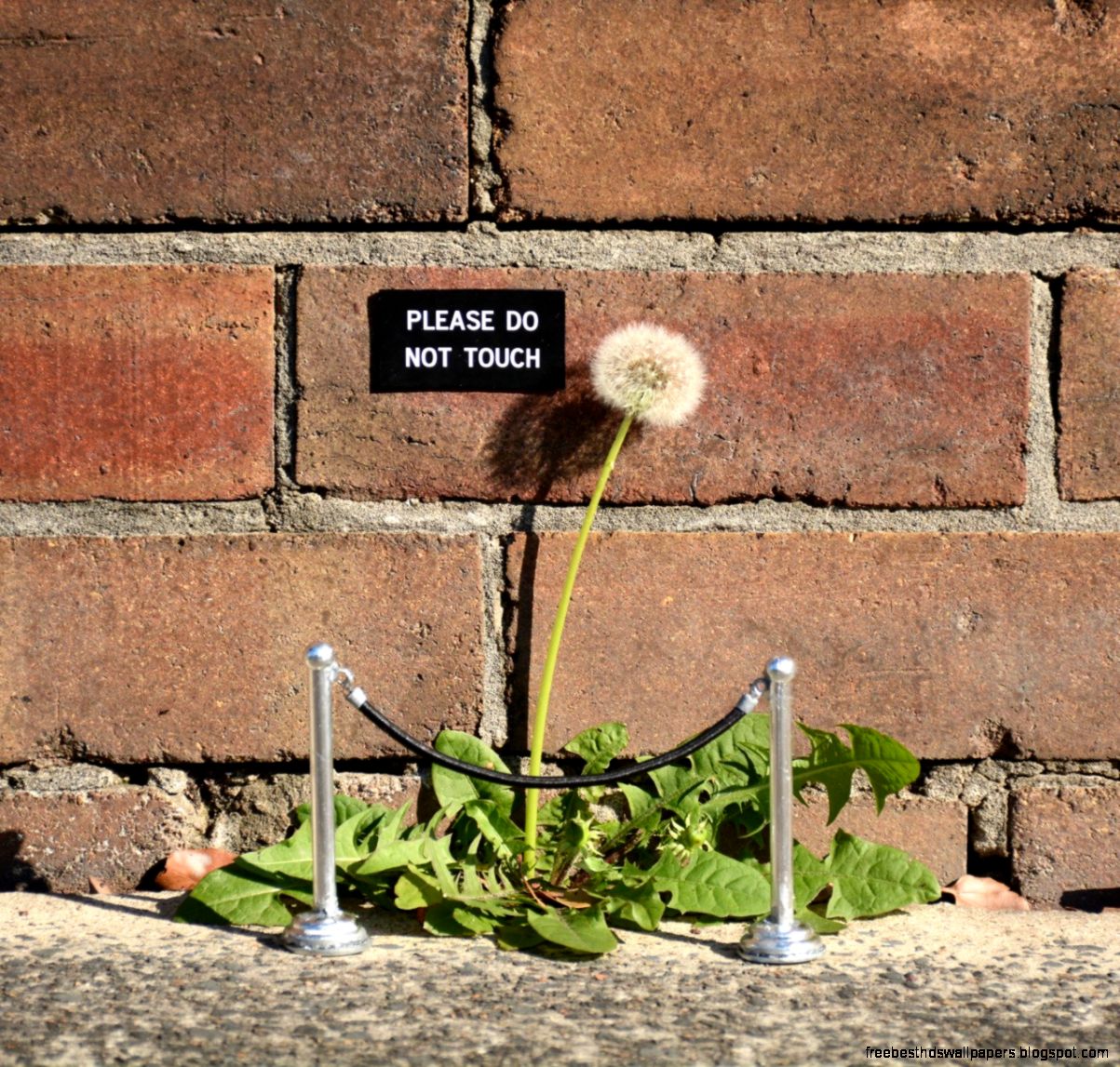 Funny Street Signs and Other Contextual Street Art Interventions