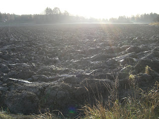 Lugn%2Bpromenad%2Bh%25C3%25B6st%2B%25281%2529 - Lugn promenad