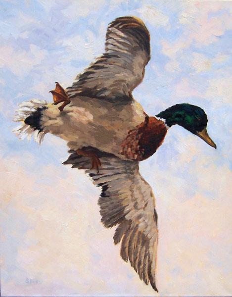 Wildlife Art International Flight Original Bird Oil Painting By