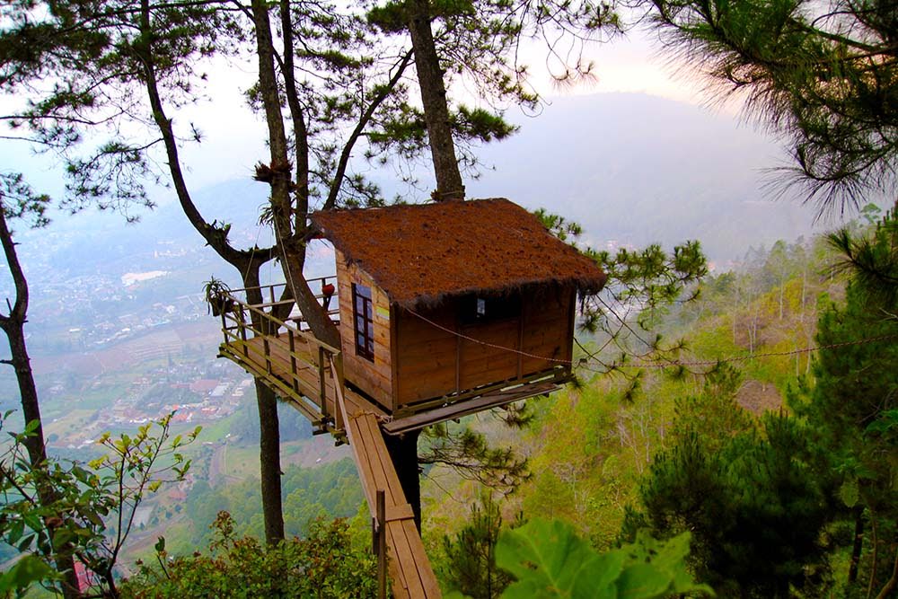 Tempat Wisata Di Wonosobo Rumah Pohon