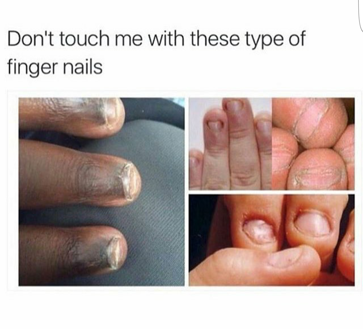 Dose Of Debauchery Morning Meme Meat Beaters