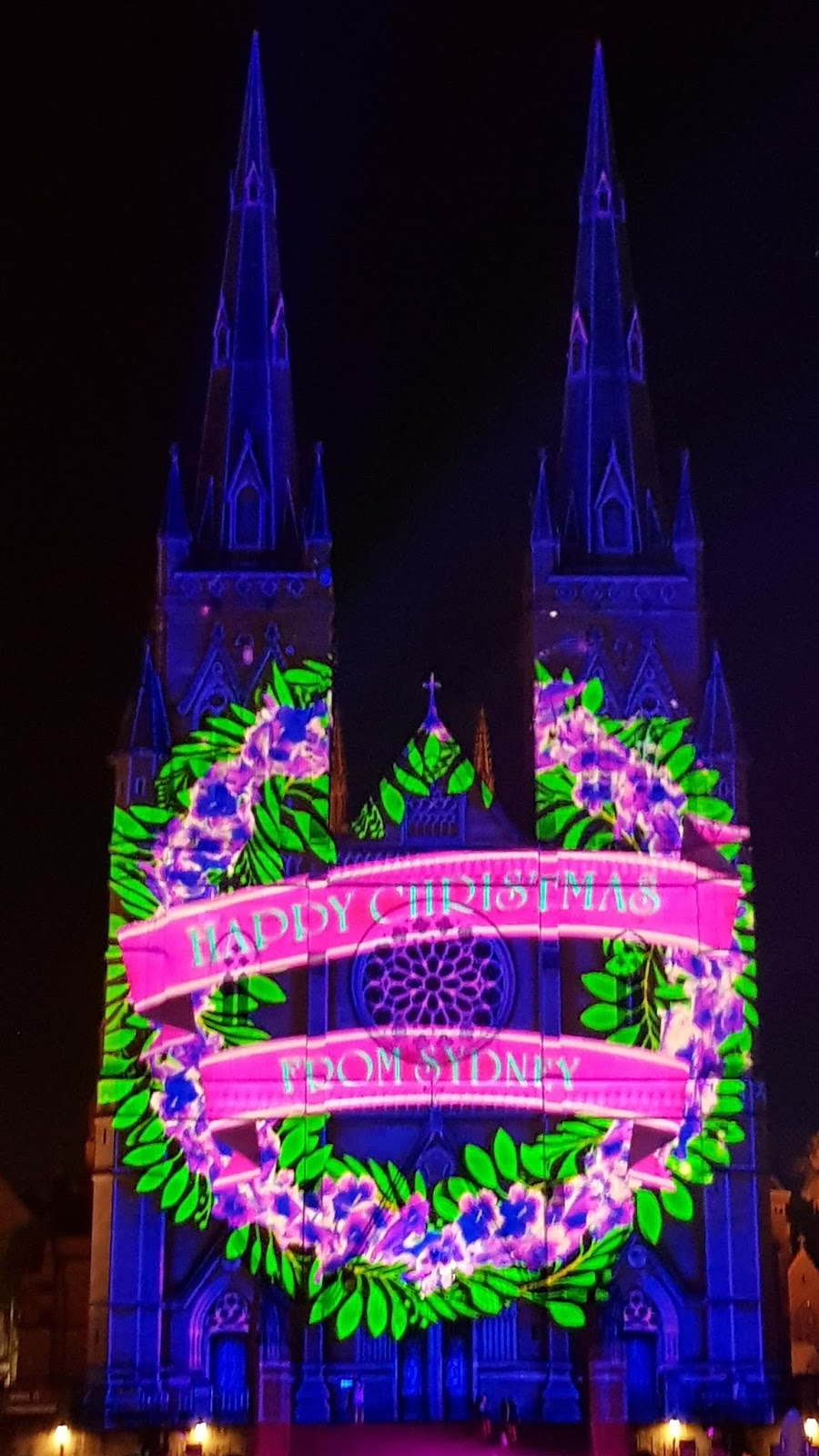 Sydney City and Suburbs St Mary's Cathedral, The Lights of Christmas