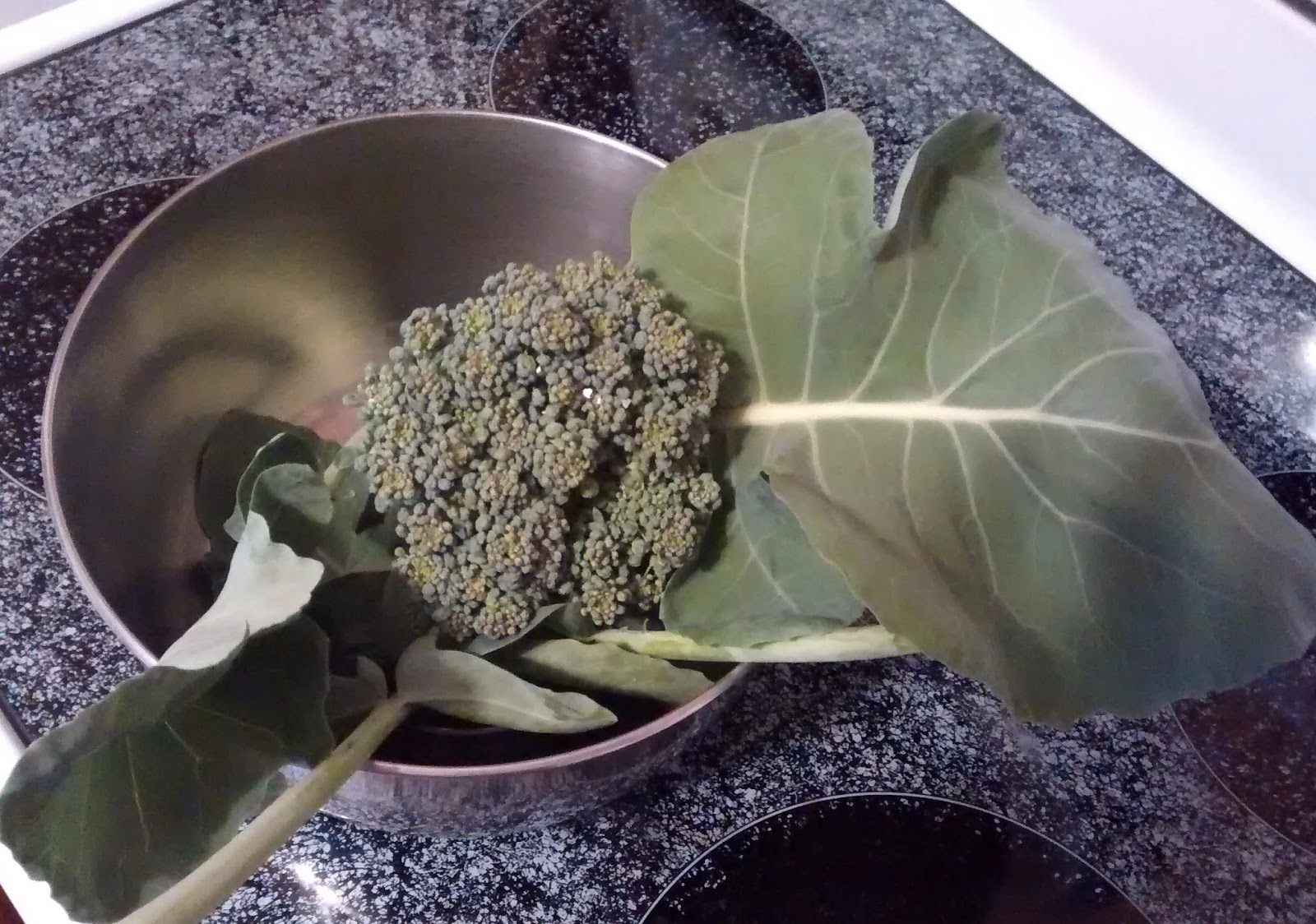 Captive Roots You Can (and should) Eat Your Broccoli Leaves!