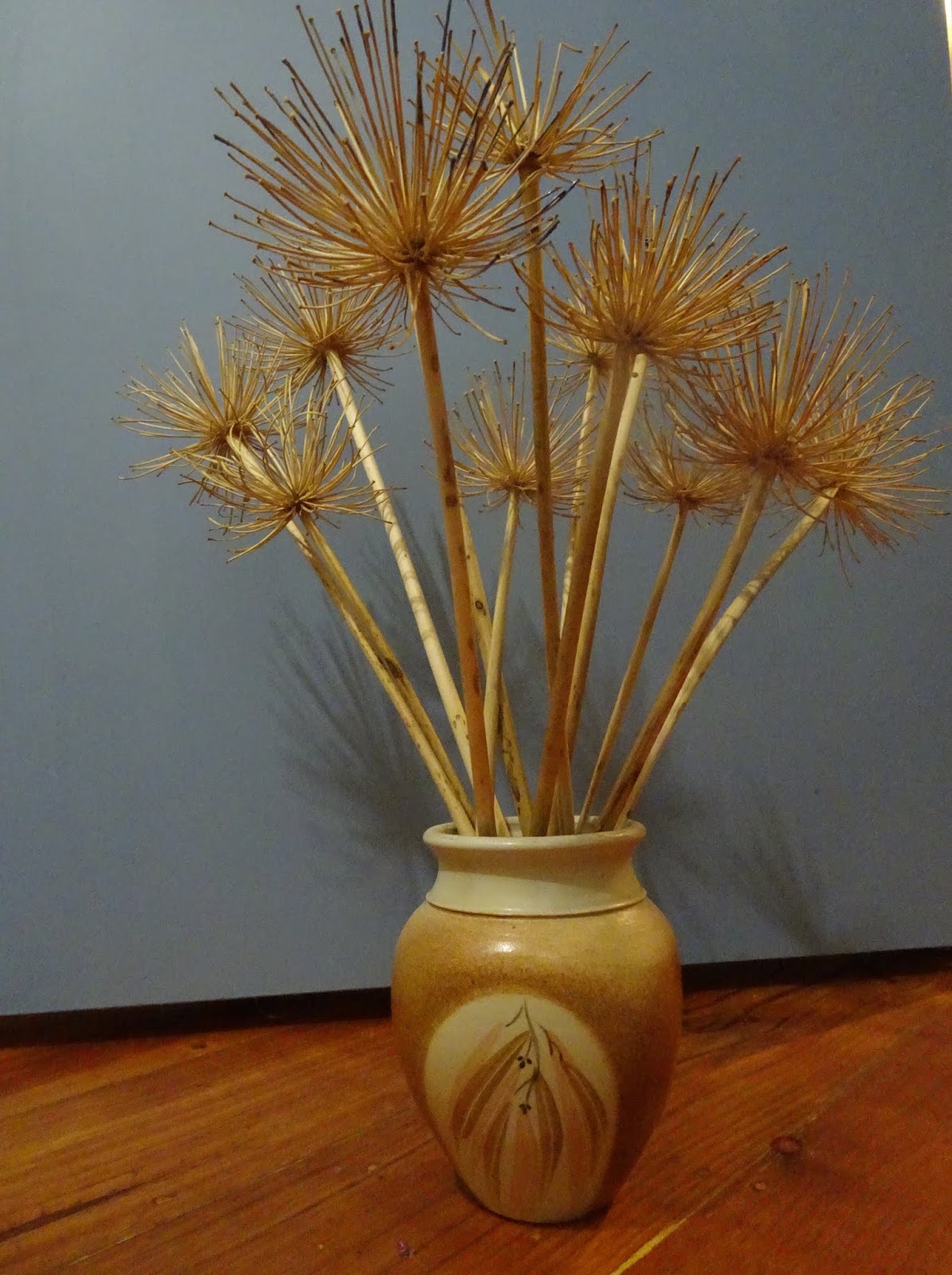 Using Dried Agapanthus Flower Heads As Decoration