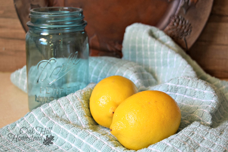 When Life Gives You Lemon Balm Make Lemonade! Oak Hill Homestead