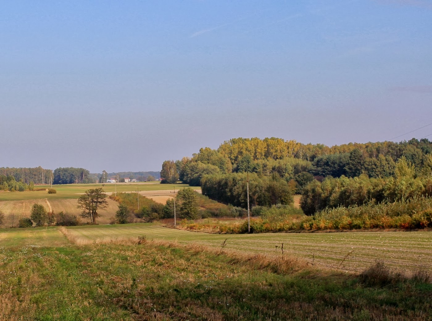 Jakie Zmiany Zachodzą W Przyrodzie Jesienią