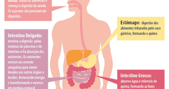 Cetosis hidratos diarios