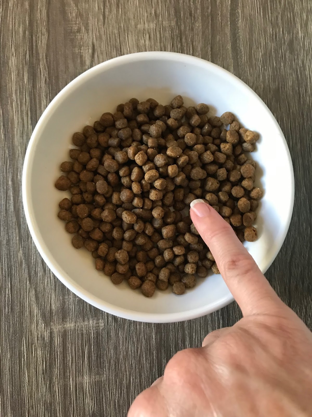 My Dog Says Woof! Product Review Now Fresh Cat Kibble