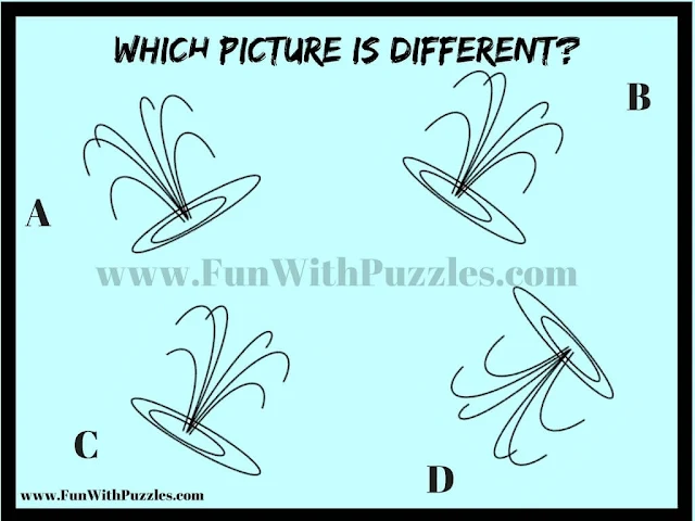 Brain Teaser Picture Puzzle to test your observational skills