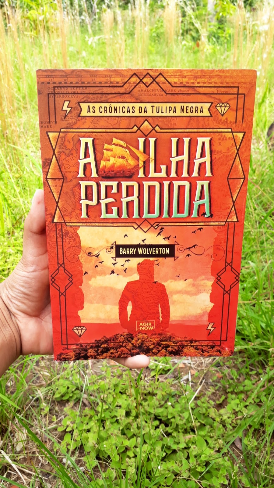 As Cronicas Do Tulipa Negra A Ilha Perdida