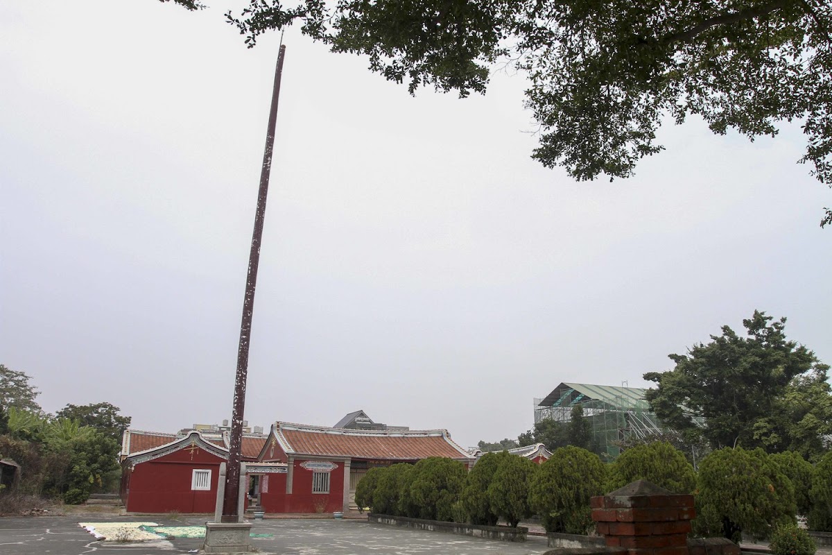 太康綠色隧道約長三公里，路段兩側種植數百株芒果樹，樹齡都超過五十年。