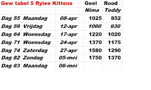 Gewichten tabel 5 (2 Kittens van Rylee)