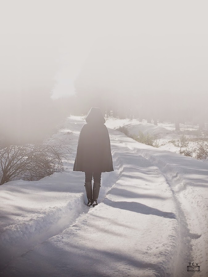 fotagrafía-digital-en-la-nieve