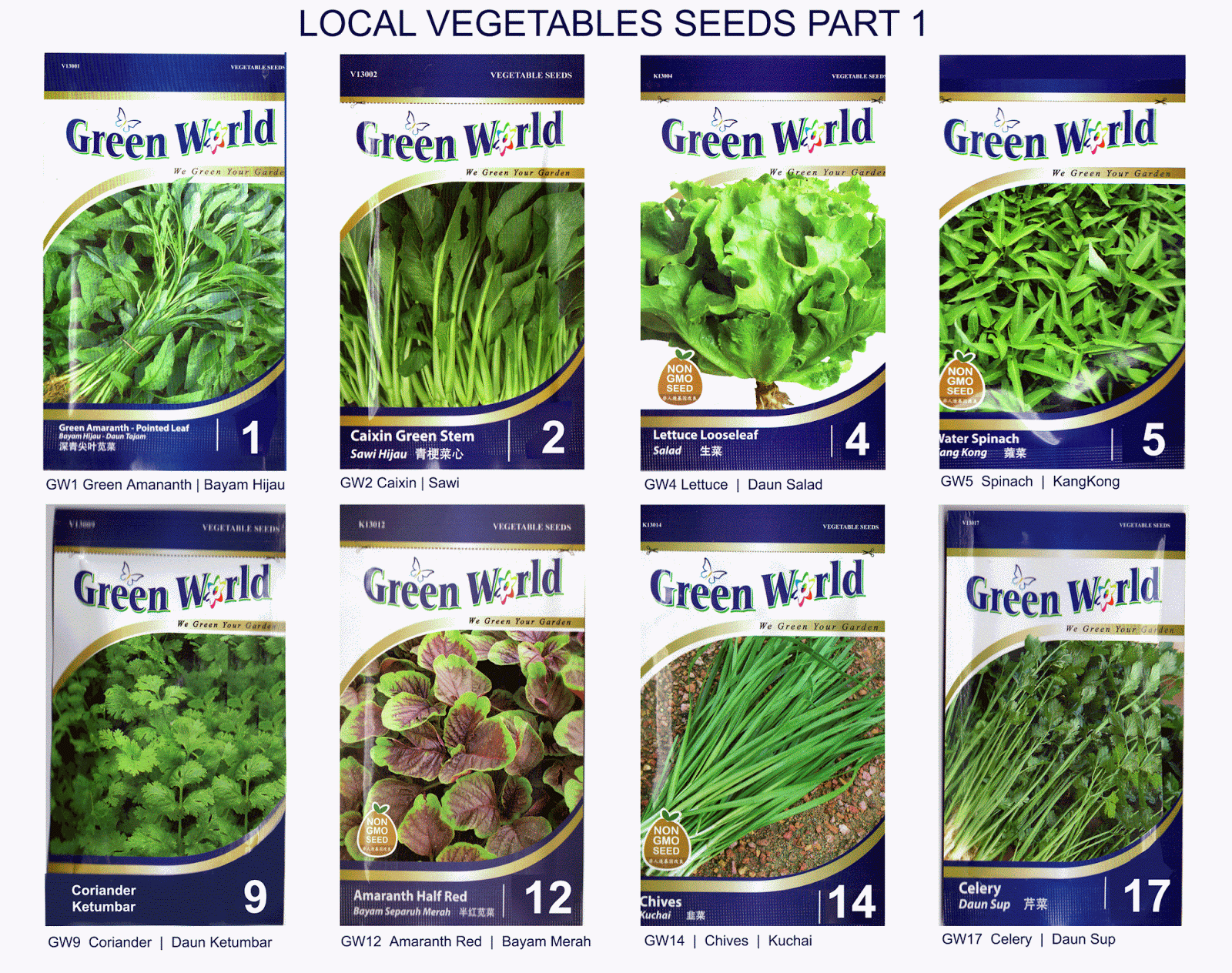 Daisies Malaysia Plants and Garden Supplies Online under one roof