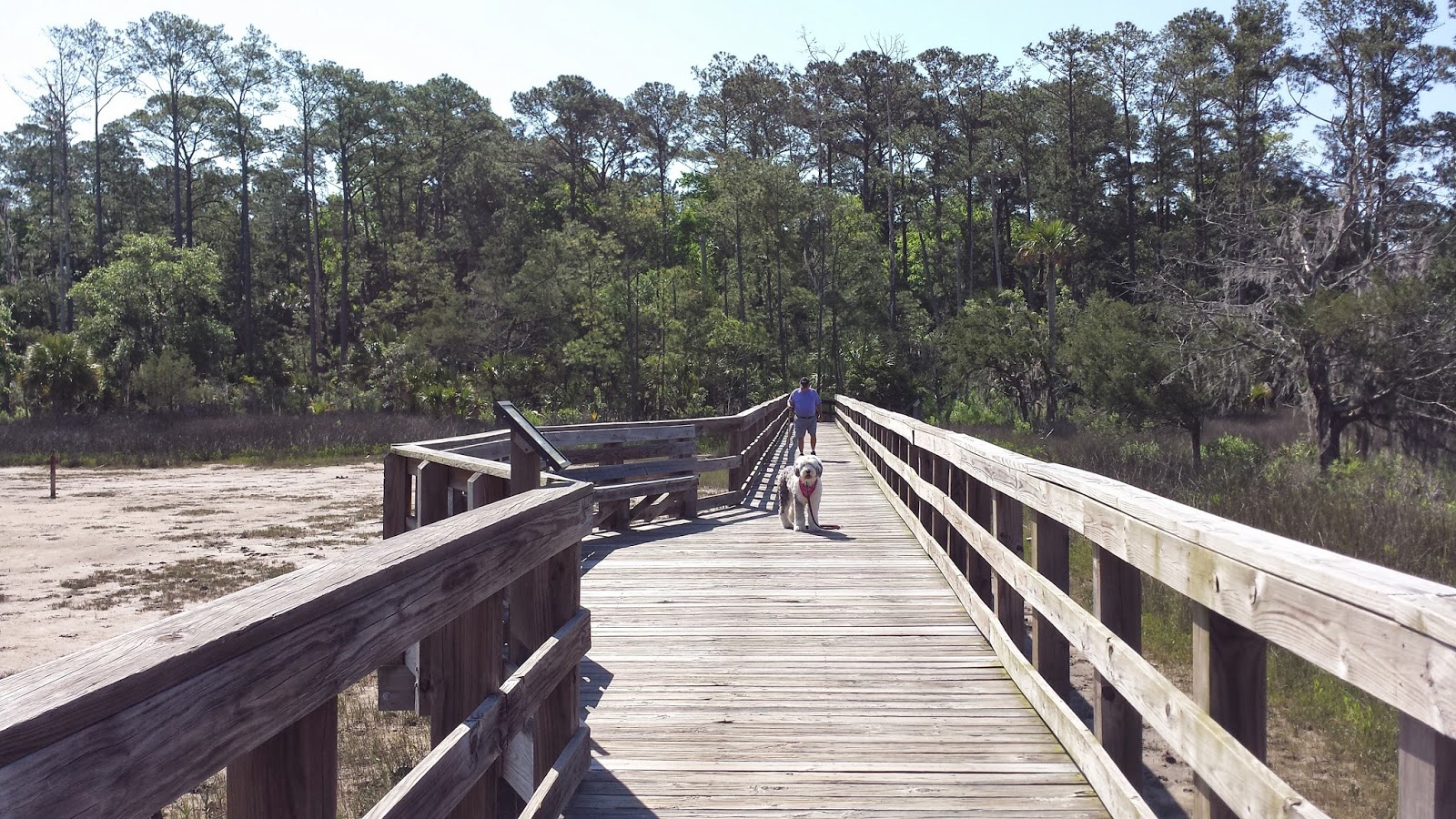 Retirement Dreams Skidaway Island State Park