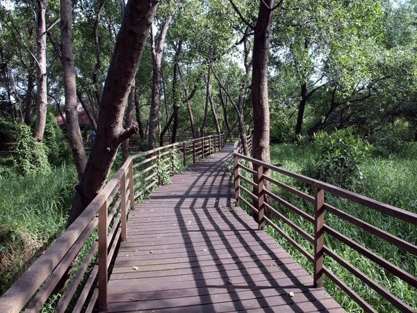 Tips Wisata di Sekitar Jakarta