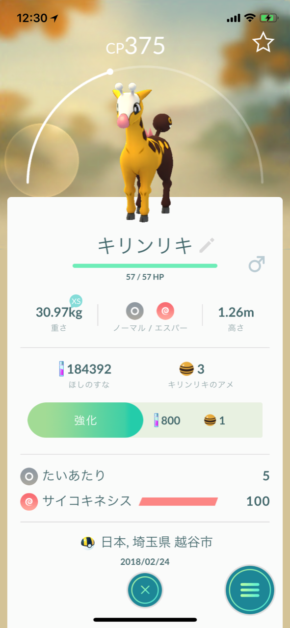 メシアブログ ポケモンgo キリンリキ