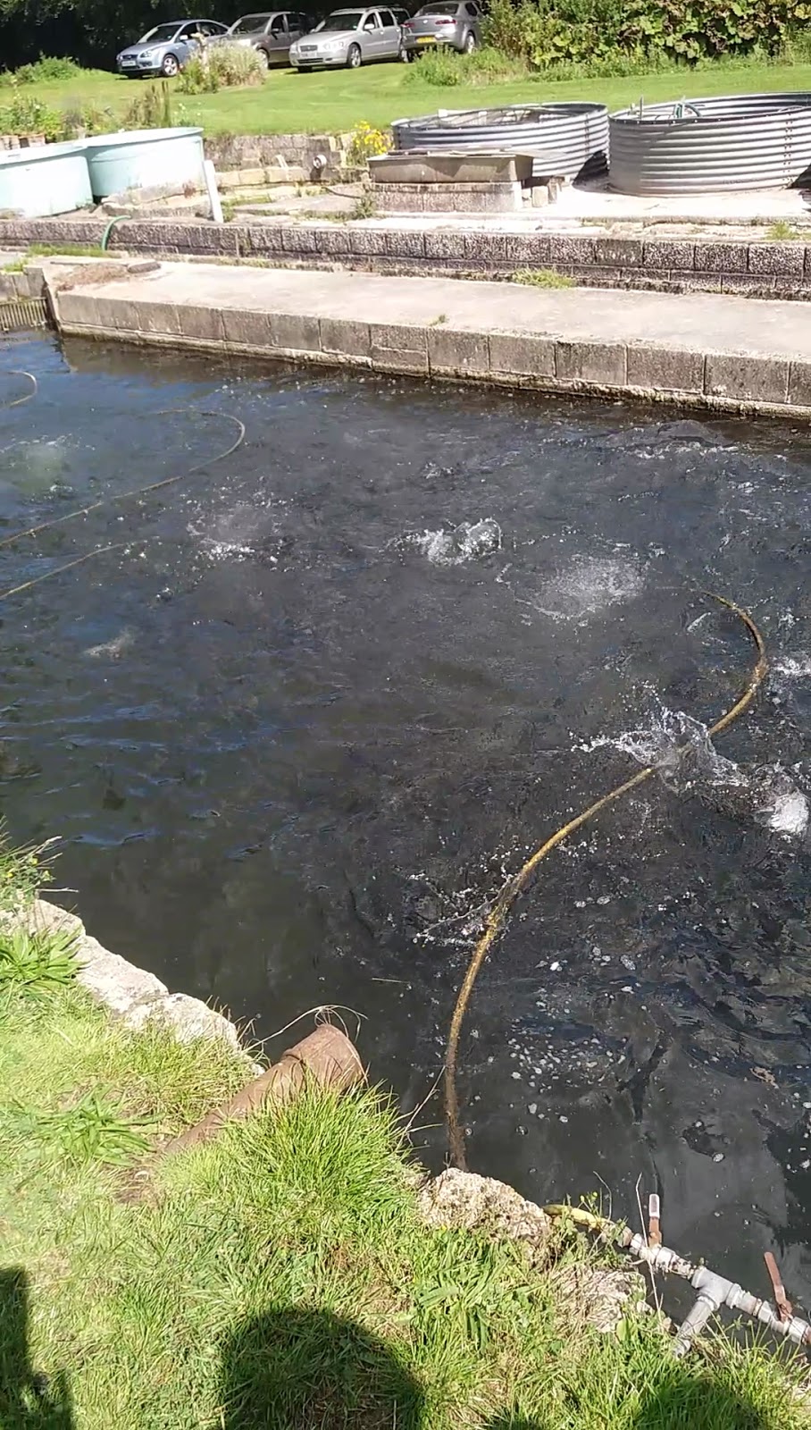 Hollingbourne WI Trout Farm Visit (Harrietsham)