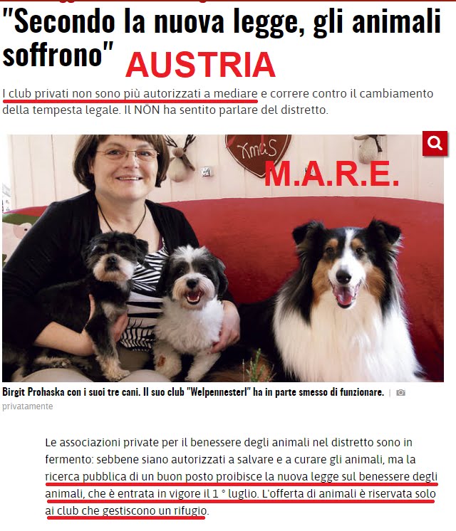 cani e adozioni AUSTRIA Nuova legge per la protezione degli animali