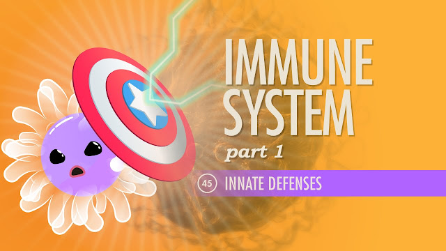 immune-system-part-1-crash-course-a-p-45