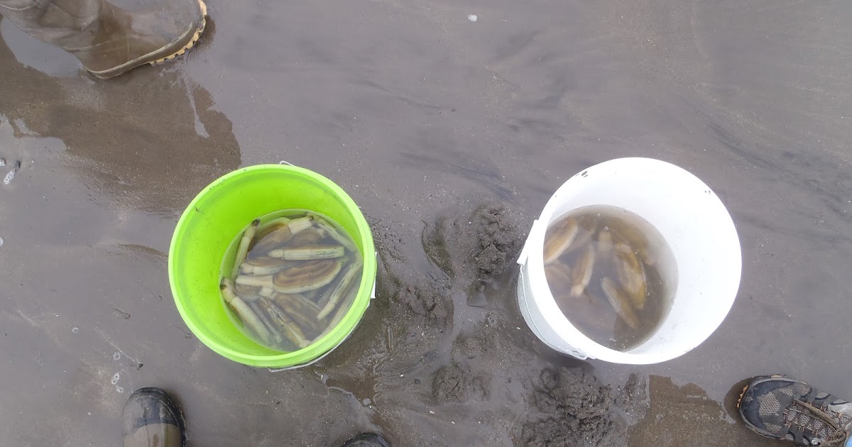 LAKE AND PEN AIR Unlocking Alaska Clam Digging