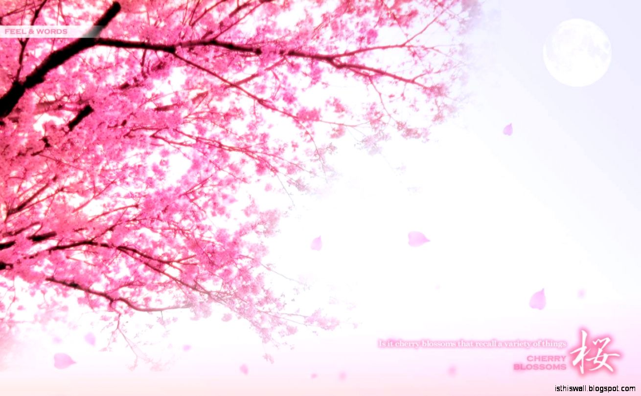 Pretty Wall Papers Useful Pretty Wall Papers Useful