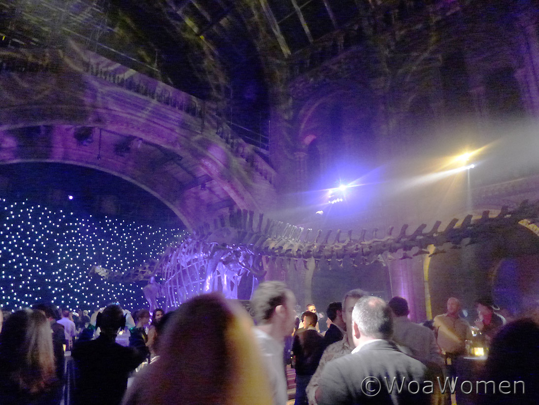 wonder wander women Christmas Party at the Natural History Museum!