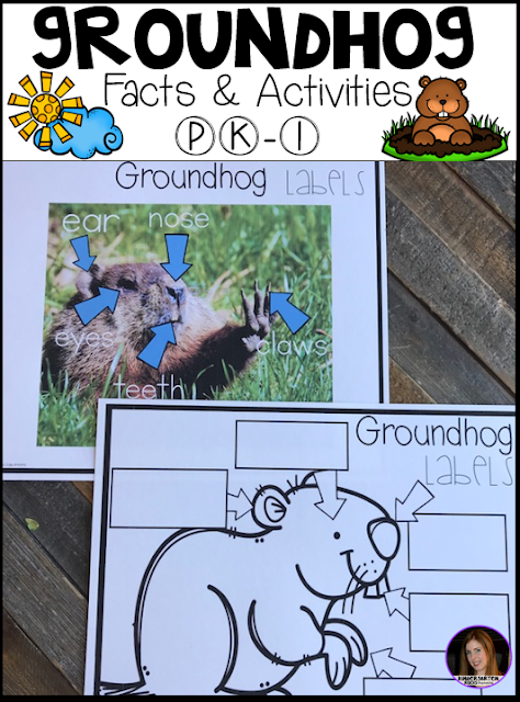 Are you looking for a factual unit to introduce Groundhog’s Day and to learn more about Groundhog activities for Kindergarten and first grade classroom?  Then you will love this unit!  Groundhog Labeling